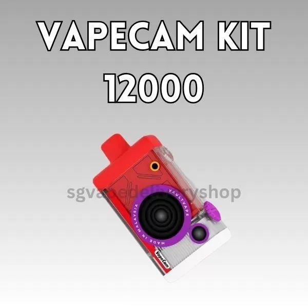 Vapecam 12000 Puffs - Blueberry Jam (Cartridge)