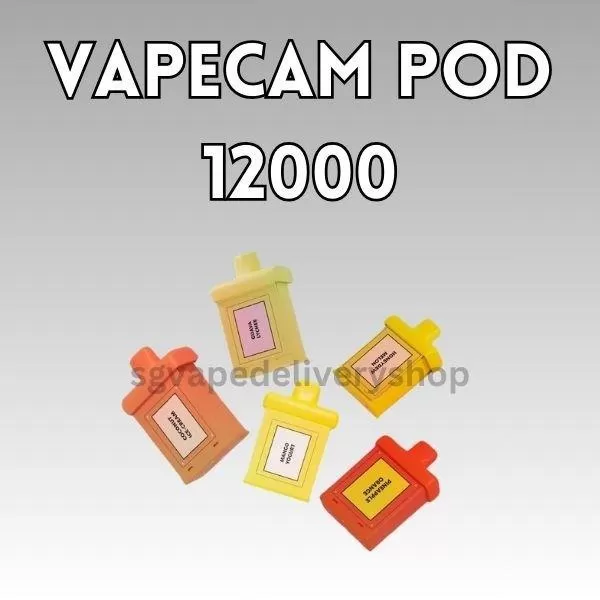 Vapecam 12000 Puffs - Blueberry Jam (Cartridge) - Image 2