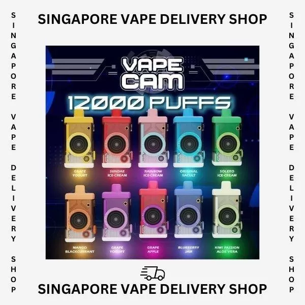 Vapecam 12000 Puffs - Blueberry Jam (Cartridge) - Image 3