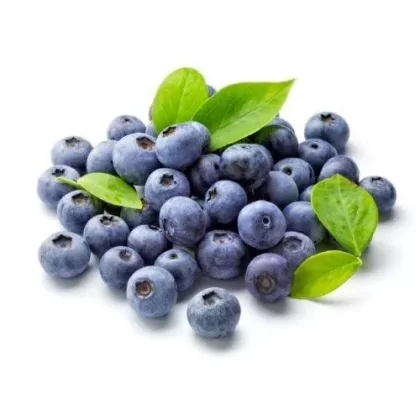 Blueberry – DIY Flavoring By Capella - Vape Product, Vape Product (E3B969)