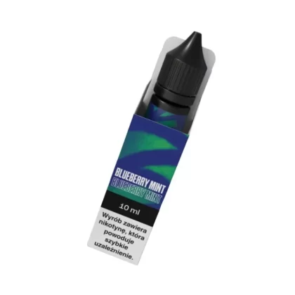 Liquid Vjuice Go+ VBAR 6mg Blueberry Mint 10ml