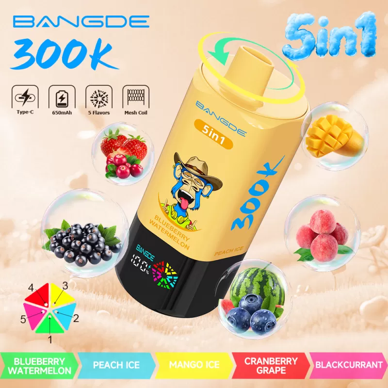 Bang DE 300K- 300K Puffs 5-in-1-flavor-system 100ml E-Liquid Disposable Vape