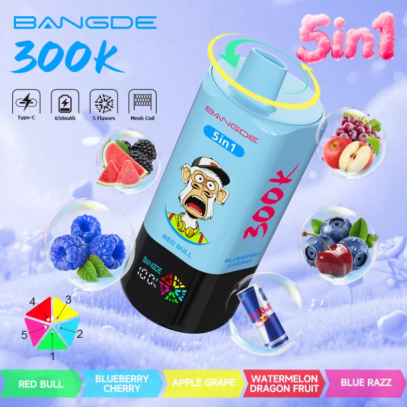 Bang DE 300K- 300K Puffs 5-in-1-flavor-system 100ml E-Liquid Disposable Vape - Image 2