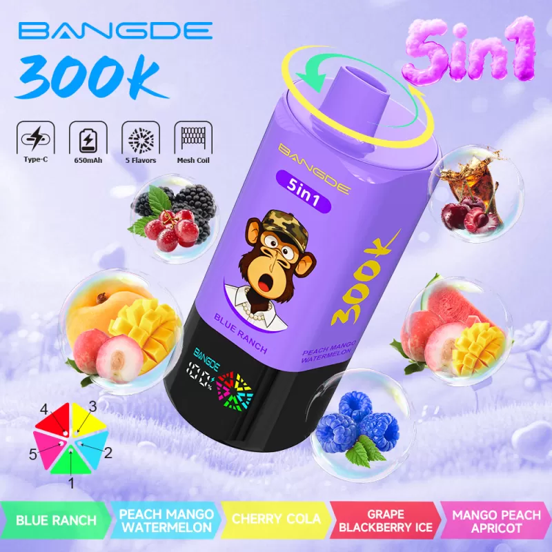 Bang DE 300K- 300K Puffs 5-in-1-flavor-system 100ml E-Liquid Disposable Vape - Image 3