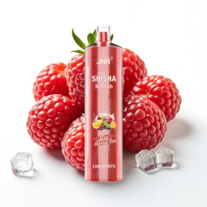 JNR Shisha Hookah 12000 Puffs Berry Ice 24ml 750mAh Tipo-C - Fumotvapemexico