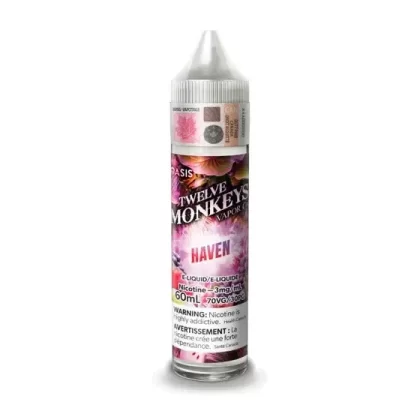 Twelve Monkeys – Haven