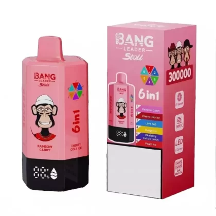 BANG LEADER STOLL 300K | 6-in-1 300000 puffs, rechargeable, bulk disposable vape - Aiviouvapes