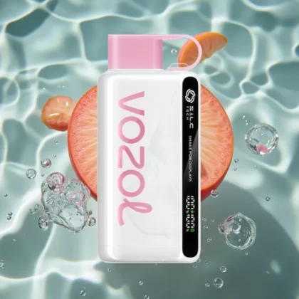 VOZOL STAR 9000/12000 Disposable Vape Peach Ice with 650mAh Battery & 30% Faster Charge - Bangvapeaustralia