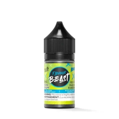 FLAVOUR BEAST SALT 30 ML – BLESSED BLUEBERRY MINT ICED