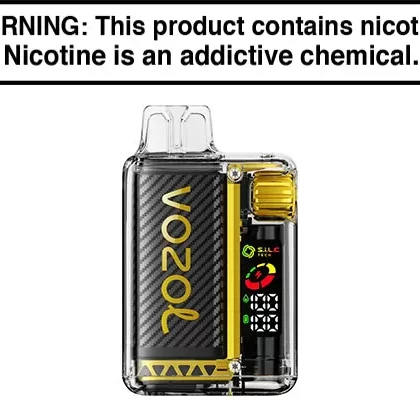 VOZOL VISTA 16K DISPOSABLE VAPE – 16,000 PUFFS - Vapejuice