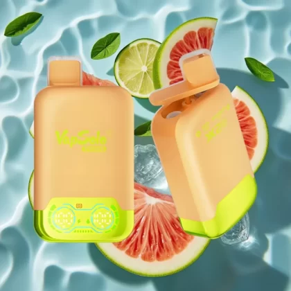 Vapsolo Twins 20000 Puffs Disposable Vape – Lemon Lime & Watermelon Ice, 40ml E-Liquid, Type-C Charging - Bangvapeaustralia