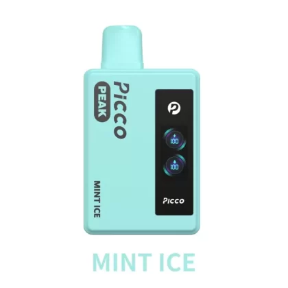 Picco Peak 6000 – Mint Ice - Vape Store
