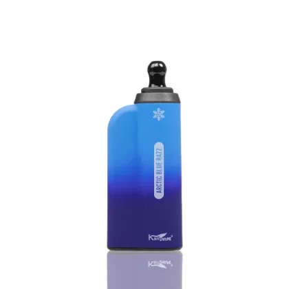 Kangvape Onee Max 6500 Puffs Disposable 10-Pack - Bubble Tea