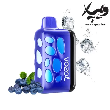Vozol Rave 40000P Blueberry Ice