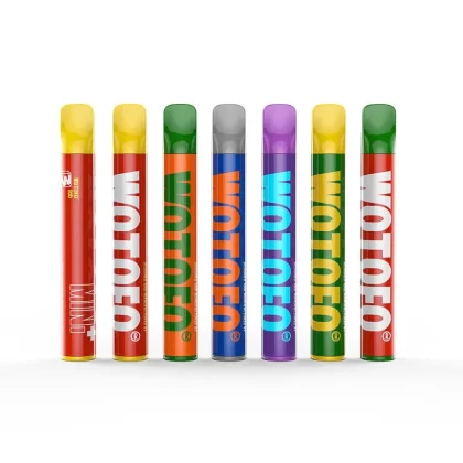 Wotofo Mini + Disposable Vape 800 Puffs / 575 Puffs