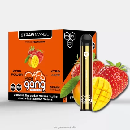 Vape Gang XL Disposable Vapes 600 puffs (Box of 10) 6006N66 Straw Mango – Vape Gang Sydney - Bangvapeaustralia