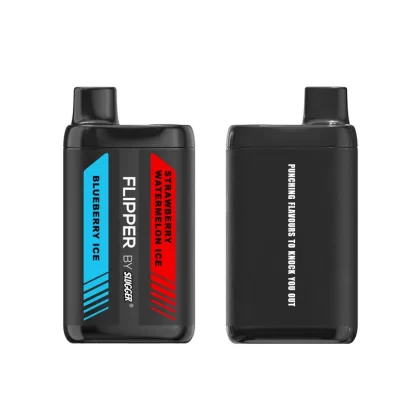 Blueberry Ice + Strawberry Watermelon Ice – Flipper 12000 puffs By Slugger - Vapebazaar Pk