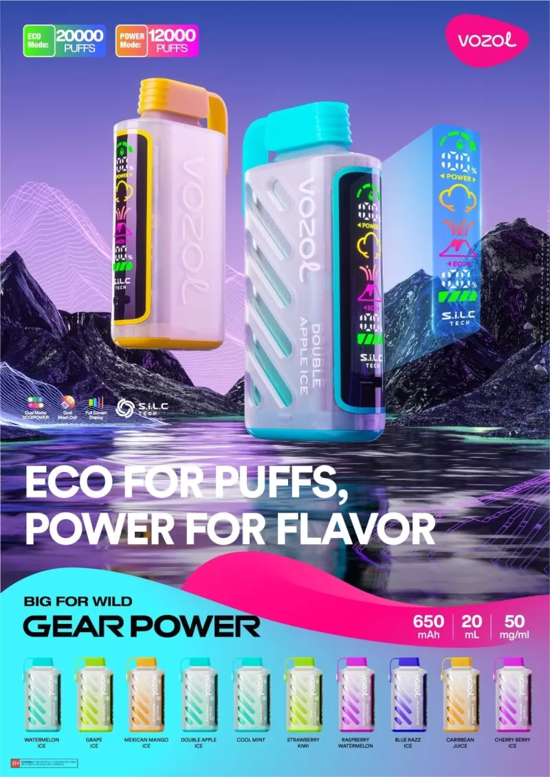 VOZOL Gear Power 20000 Rechargeable Disposable Kit (LED Display) - Blueberry Strom - Image 2