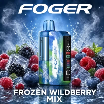 Frozen Wildberry Mix – Foger Switch Pro Kit 30K Puffs