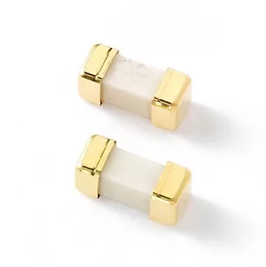 REPLACEMENT FUSE FOR G16W VBP GUS SWITCH – GUS MOD