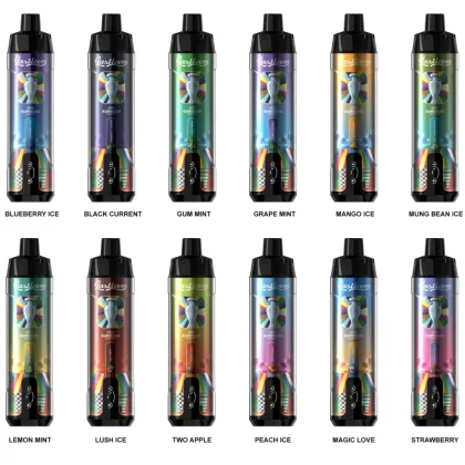 Last Love 20000 Puffs Rechargeable Disposable Kit (EURO2024) - Mung Bean Ice