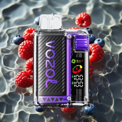 VOZOL Vista 20000 Puffs Mixed Berries Disposable Vape with OLED Screen & 650mAh Battery - Bangvapeaustralia