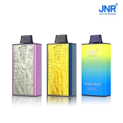 JNR Mega Box 25000 Puffs Dual Mesh Disposable Kit - Vapormo