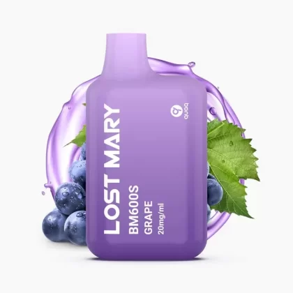LOST MARY BM600s | Grape ?| Mini Einweg Vape