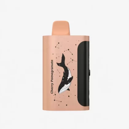 PICCO STAR 40000 Puffs – Cherry Pomegranate - Vape Store