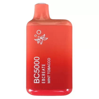 Mint Tobacco – BC5000 – EBCreate - Ejuicewarehouse