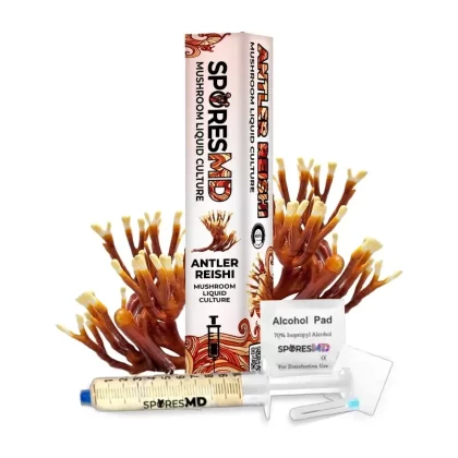 SporesMD Antler Reishi Organic Mushroom Liquid Culture Syringe (10ml) - Vape Store