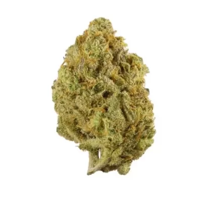 SUPER LEMON HAZE - Ukvapehouse (F554FA)