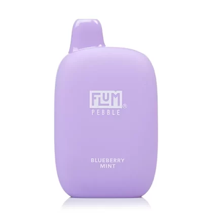 BLUEBERRY MINT FLUM PEBBLE 6000 DISPOSABLE