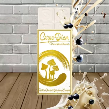 Carpe Diem Mushroom Bars