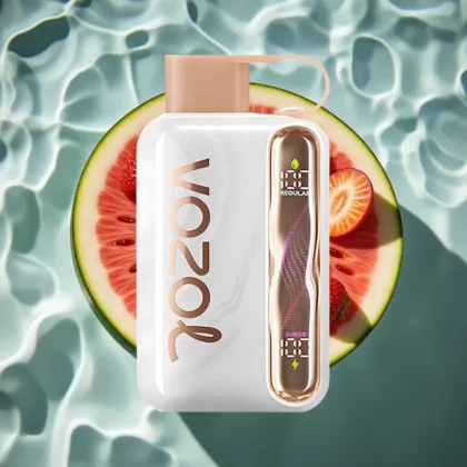 VOZOL STAR 40000 Puffs Strawberry Watermelon Disposable Vape – 1000mAh, Type-C, 20/50mg/ml - Bangvapeaustralia