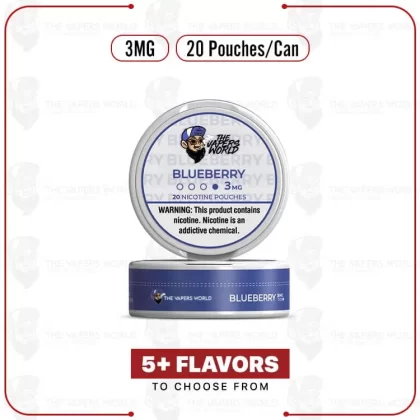 The Vapers World Nicotine Pouches – 3MG - Thevapersworld
