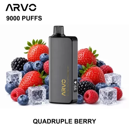 ARVO 9000 PUFFS – Quadruple Berry - Vape Store