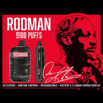 Rodman 9100 Disposable by Aloha Sun – 9100 Puffs - Cool Mint