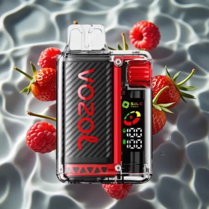 VOZOL Vista 20000 Puffs Strawberry Raspberry Cherry Disposable Vape with OLED Screen, 650mAh Rechargeable Battery & Dual Mesh Coil - Bangvapeaustralia