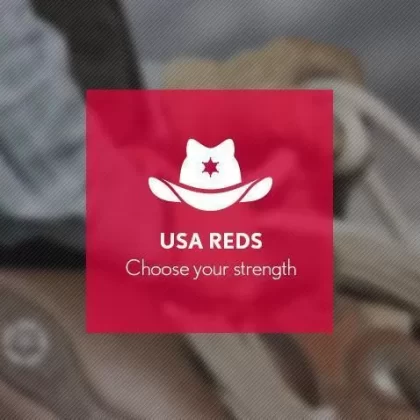 USA Reds (USA Mix) By Blast E-Liquid 10ml - 6mg