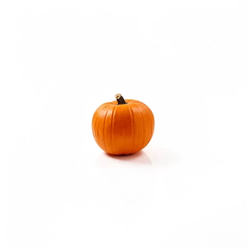Calabaza TFA Complementario Soluble en Agua - Fumotvapemexico