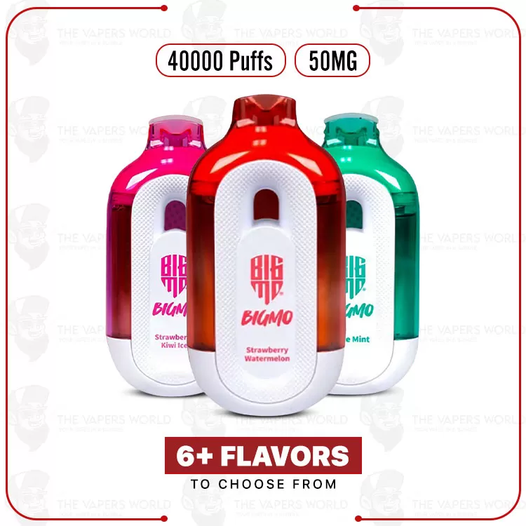 BIGMO Tank 40000 Puffs Disposable Vape - Thevapersworld