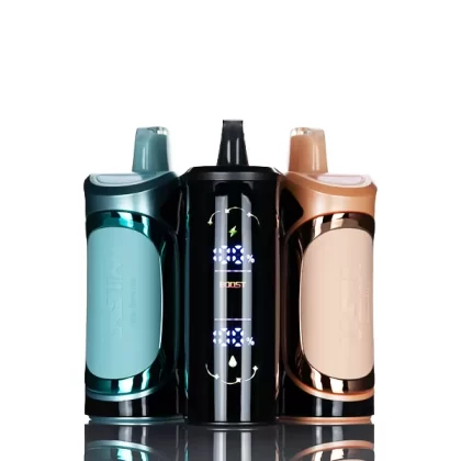 Vasta VS55K 55000 Puffs Disposable Vape - 20mL - Icy Watermelon