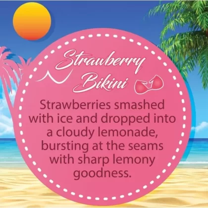 Strawberry Bikini – Summer Holidays