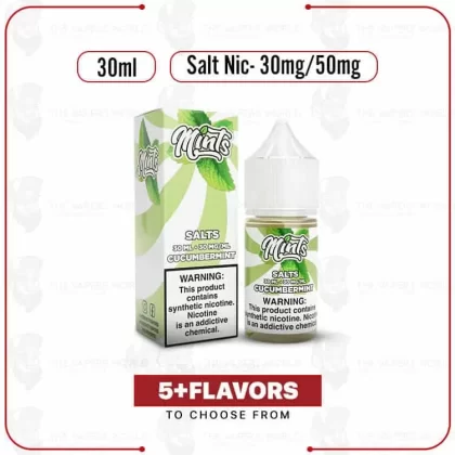 Mints 30ml Salt E-Juice - Thevapersworld
